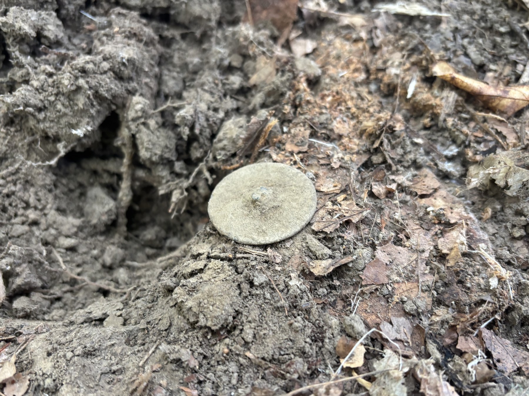 A corroded, uncleaned button as it was found in the dirt